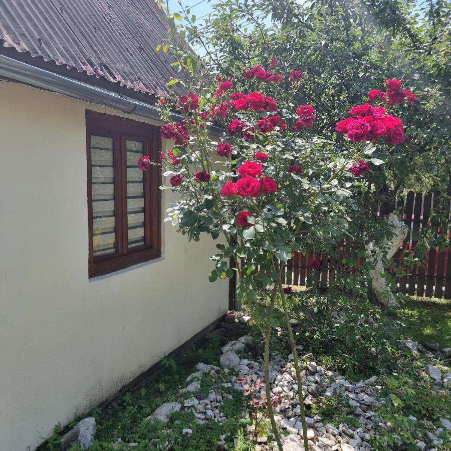 Vila Paula & Spa Sovata Exterior foto