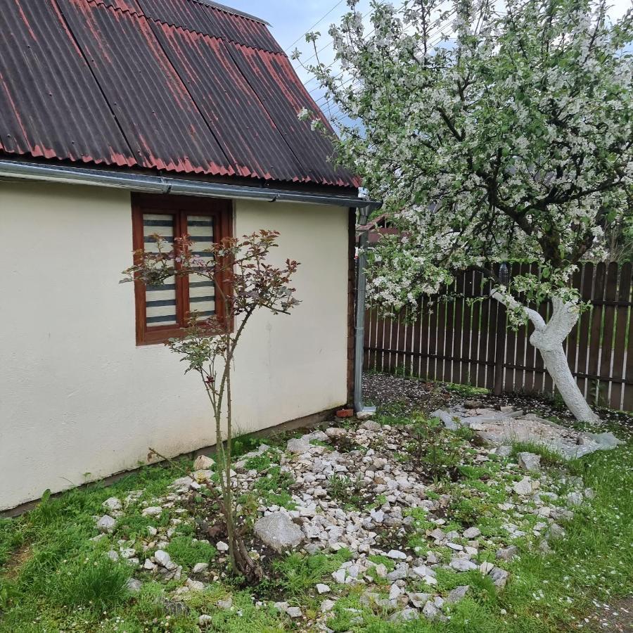 Vila Paula & Spa Sovata Exterior foto